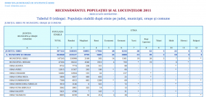 Populația municipiului Sibiu după etnii. Click pe imagine pentru mărire!