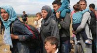   Câți migranți a adus Iohannis pe șest din Germania în urma înțelegerii secrete cu Merkel? Aflăm de musulmani și […]