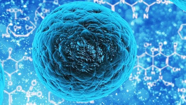   Studiu al MIT, citat de MEDLIFE: Postul, în special POSTUL NEGRU, poate creste capacitatea de regenerare a celulelor stem […]